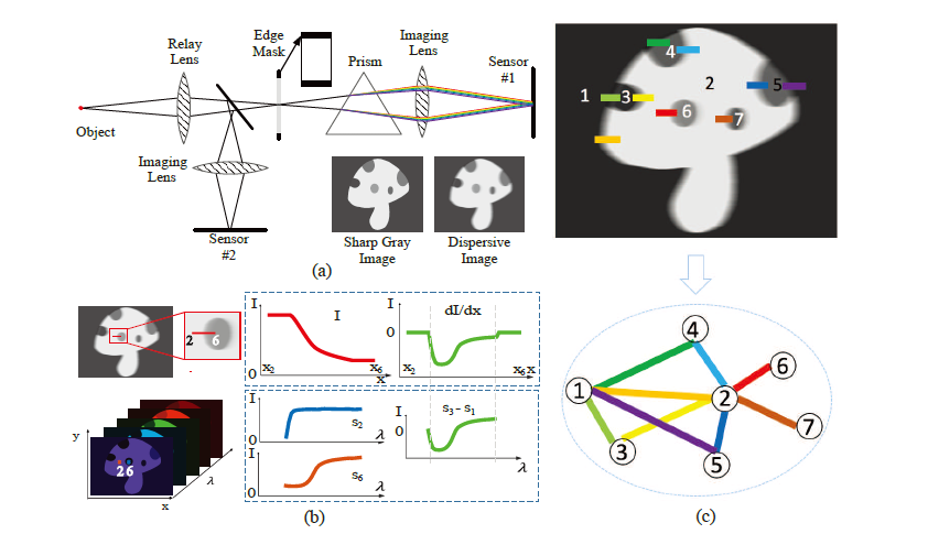 Spectral Reconstruction from Dispersive Blur: A Novel Light Efficient Spectral Imager ｜ IEEE CVPR 2019

