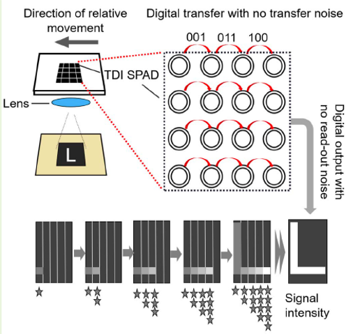 Time-Delay-Integration Imaging Implemented With Single-Photon-Avalanche-Diode Linear Array | IEEE Sensors Journal 2021